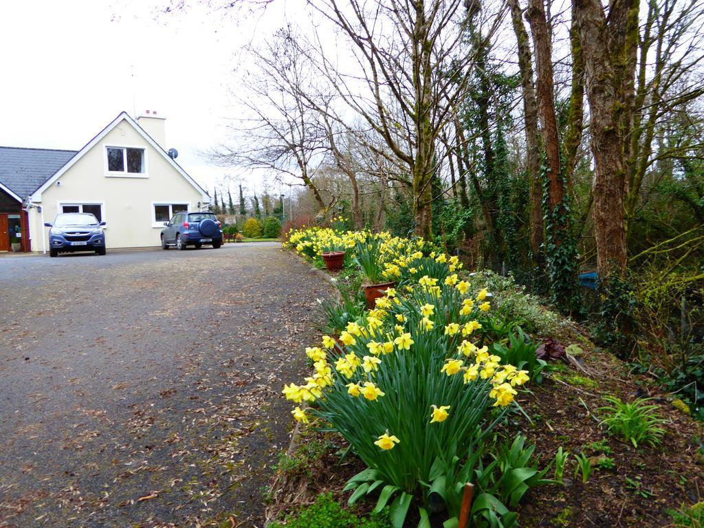Camillaun Lodge With Lough Corrib Boat Hire Oughterard Extérieur photo